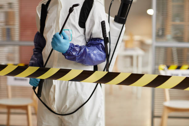 Professional Sewage Cleanup technician working in Emerson, NJ